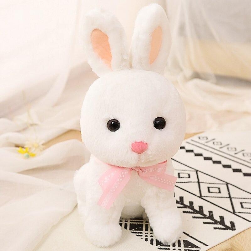 Valentine Love Bear Gift