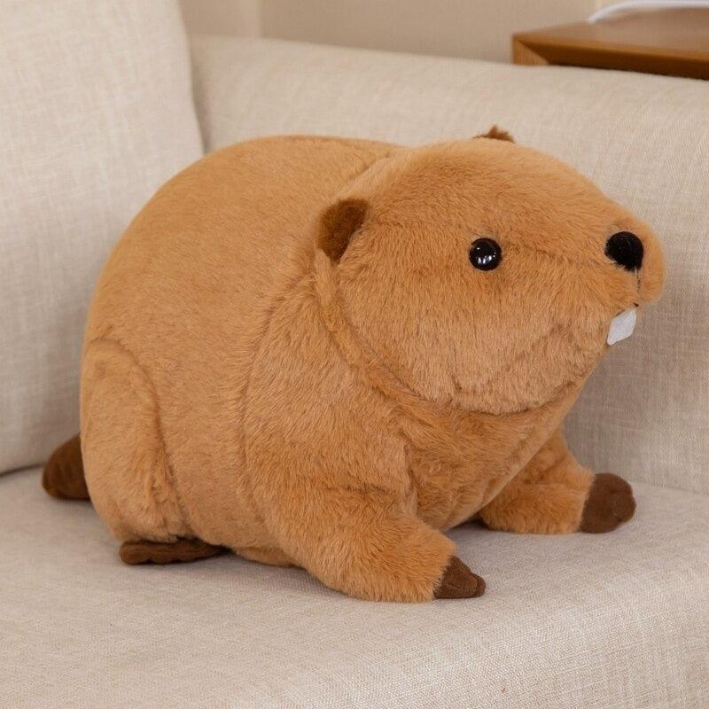 Sea Plush Toy Marine Cushion For Indoor Use In Four Sizes
