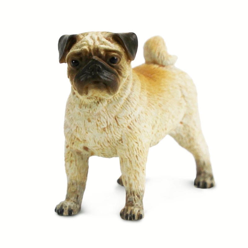 Pug by Safari