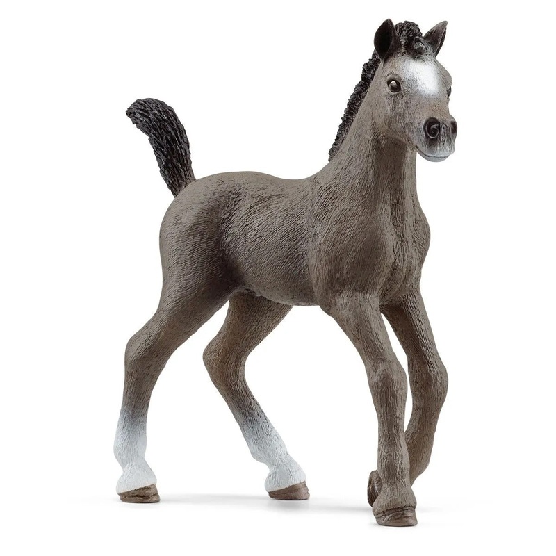 Selle Francais Foal by Schleich