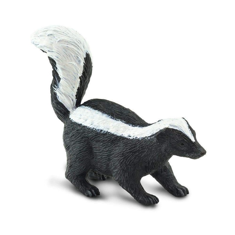 Skunk by Safari
