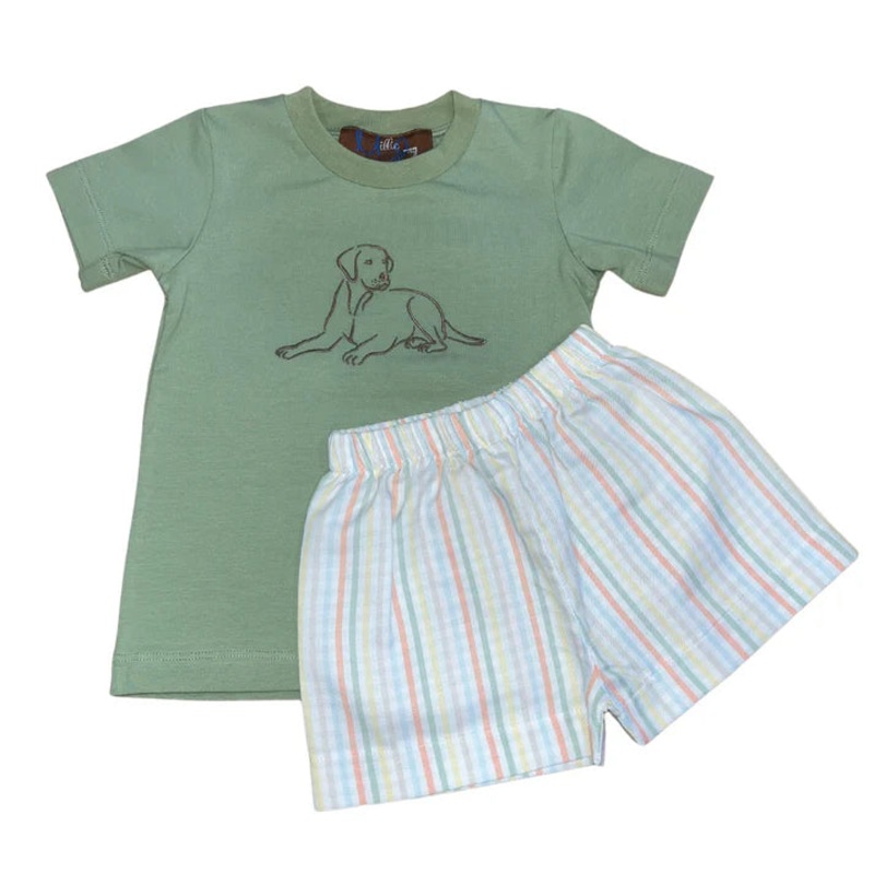 Boys Labrador Puppy Knit Short Set