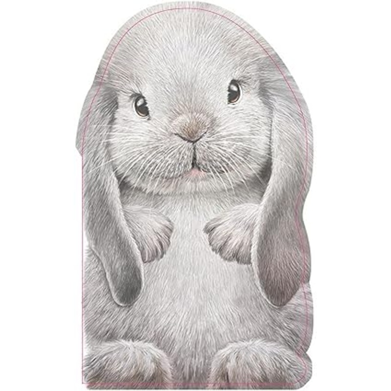 Furry Bunny: A Mini Touch and Feel Book