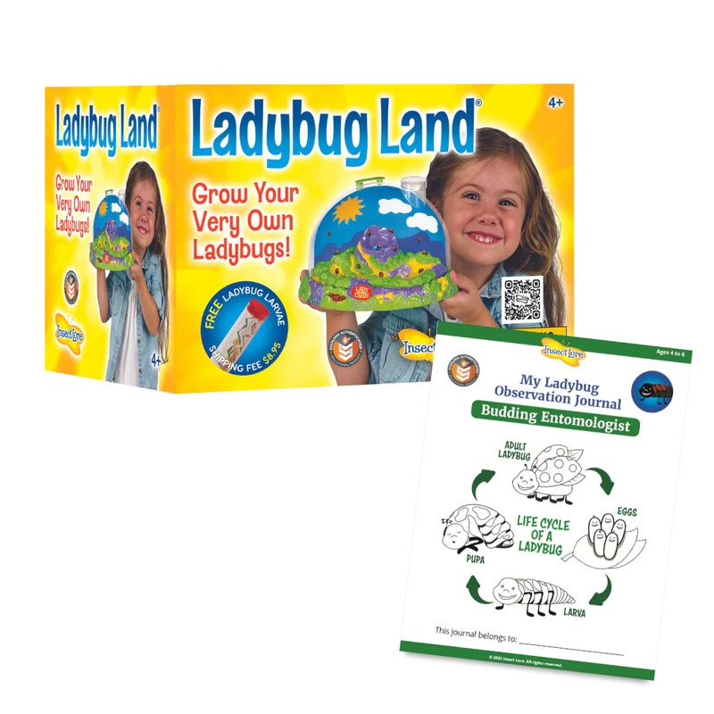 Ladybug Land Kit with Voucher