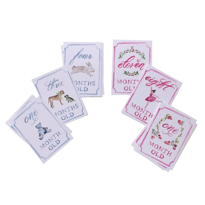 Over the Moon Gift - Month by Month Baby Milestone Cards