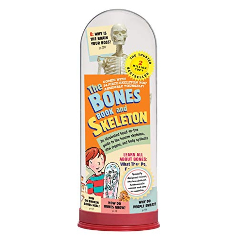 The Bones Book & Skeleton