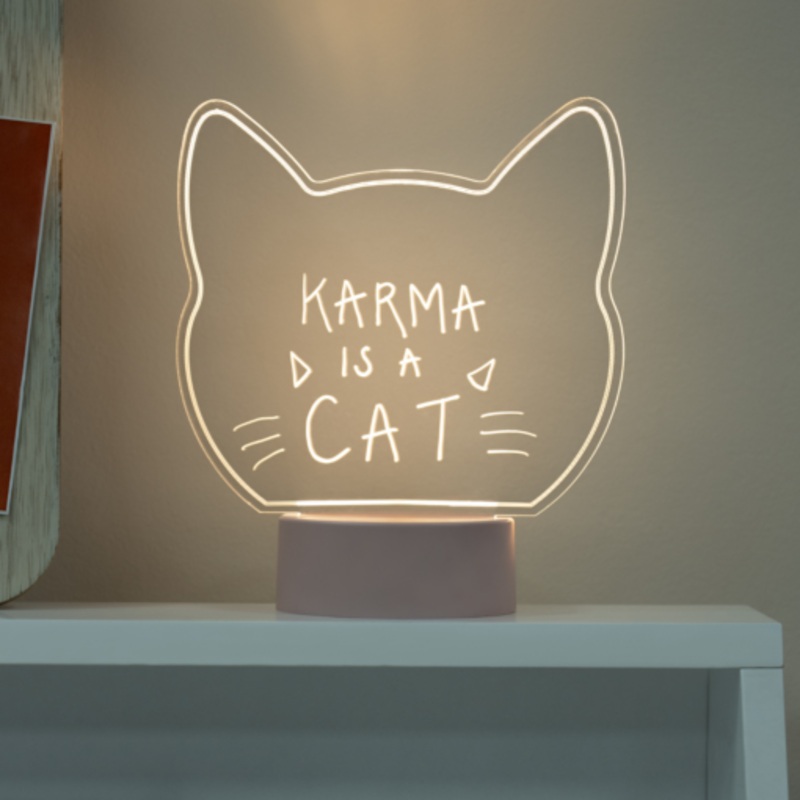 Cat Write on Acrylic Light - Fizz Creations
