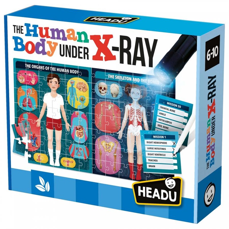 The Human Body Under X-Ray Puzzle