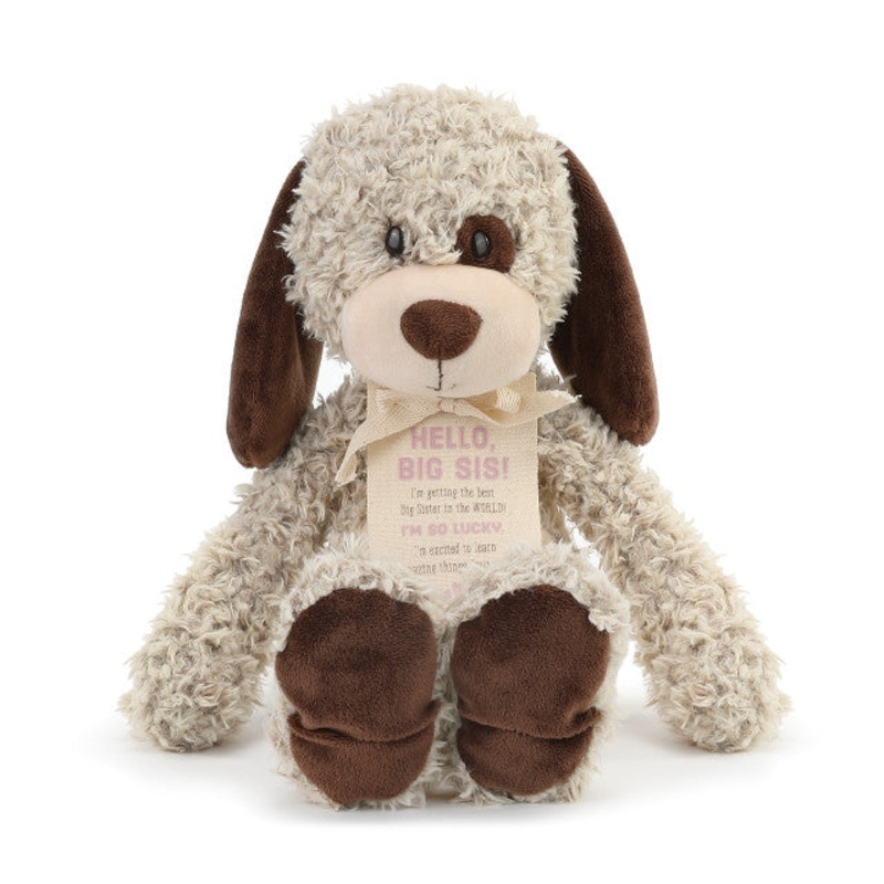 Gift From the New Kid: Big Sister Plush Puppy