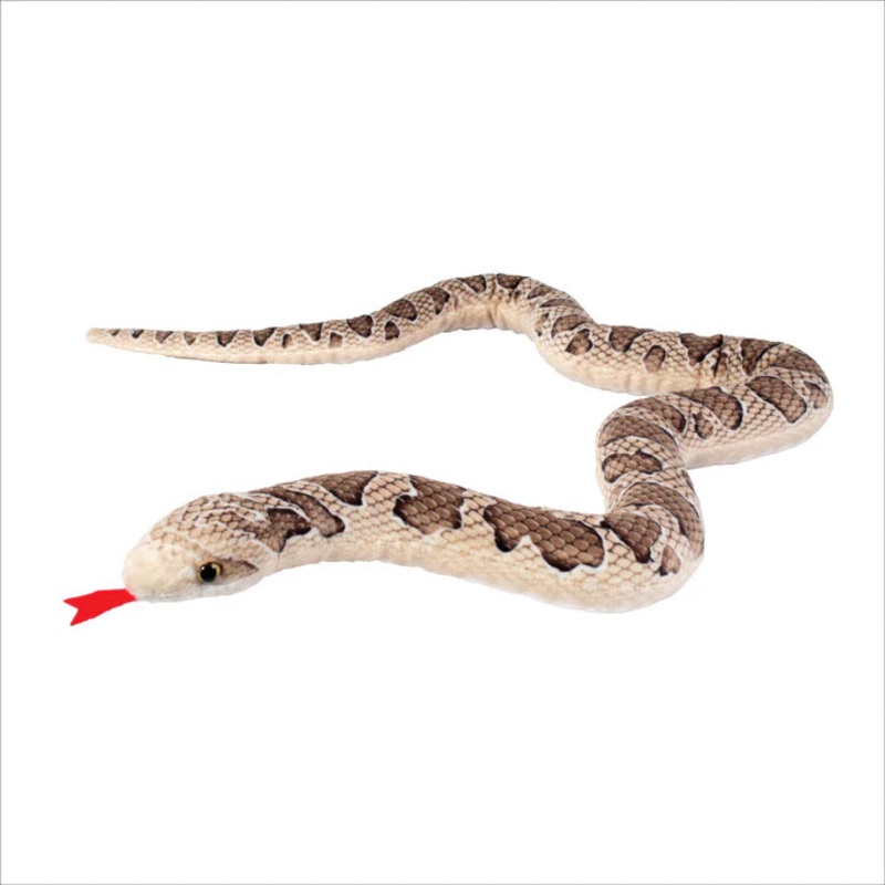 Real Planet Brown Western Rattlesnake
