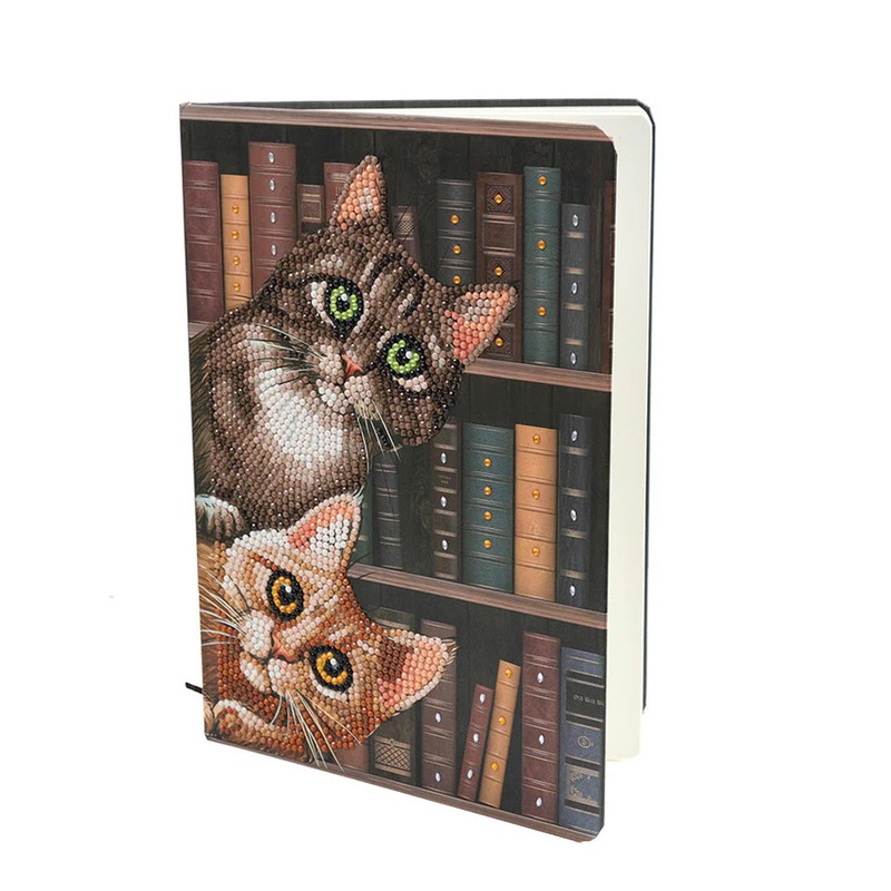 Notebook Kit: Cats in the Library