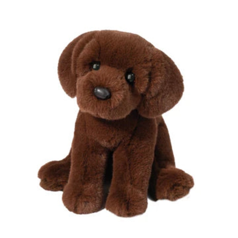 Douglas Zoom Chocolate Lab