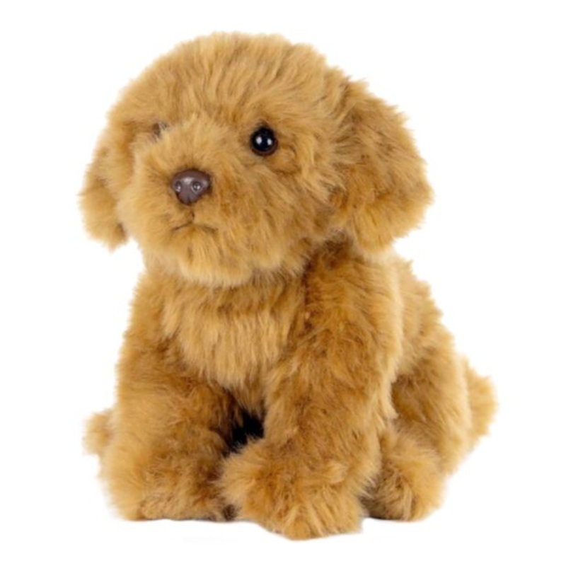 Living Nature Cavapoo