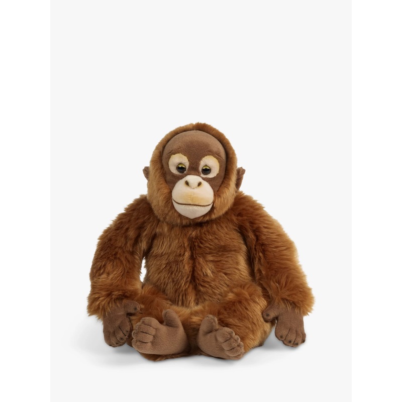 Living Nature Orangutan