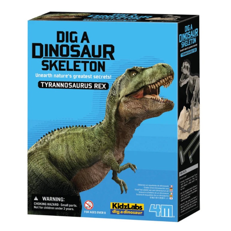 Dig a Dinosaur Skeleton