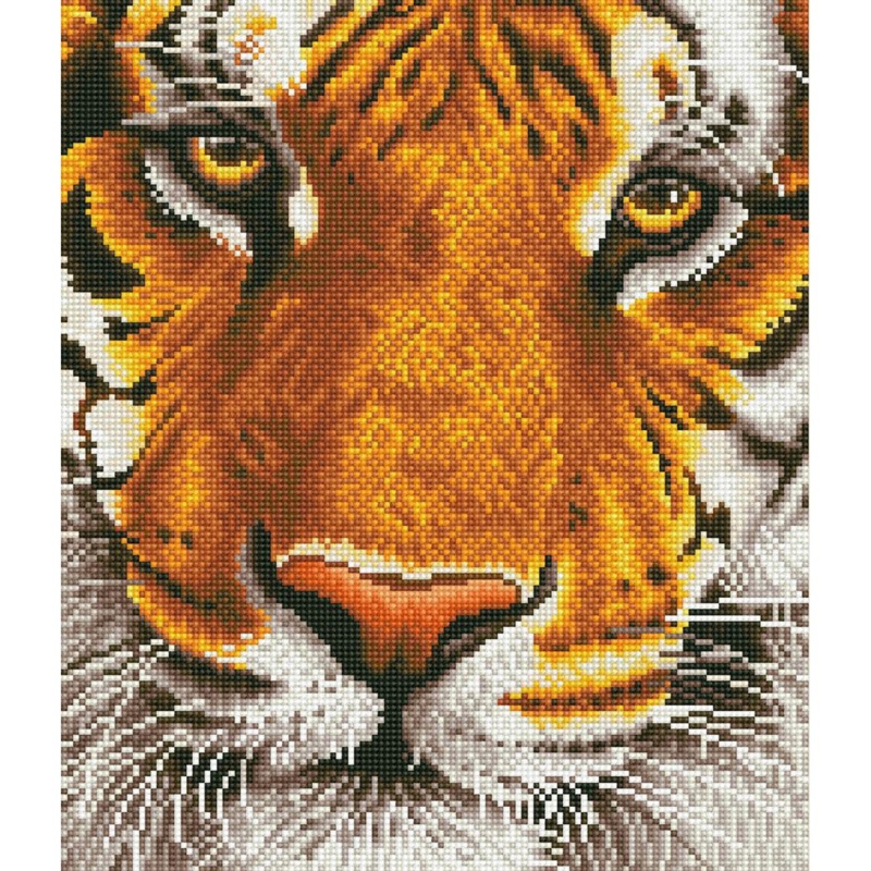 Diamond Dotz Intermediate Kit - Bengal Magic