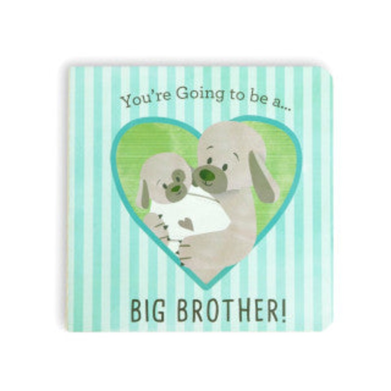 You're Going to be a... BIG BROTHER! Book