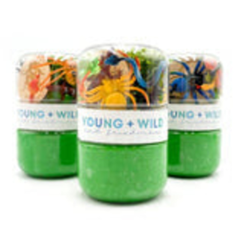 YWF Grab & Go Dough Jar - Bugs