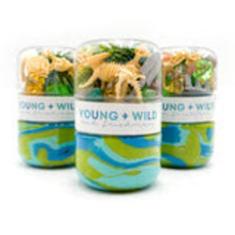 YWF Grab & Go Dough Jar - Dino Fossils
