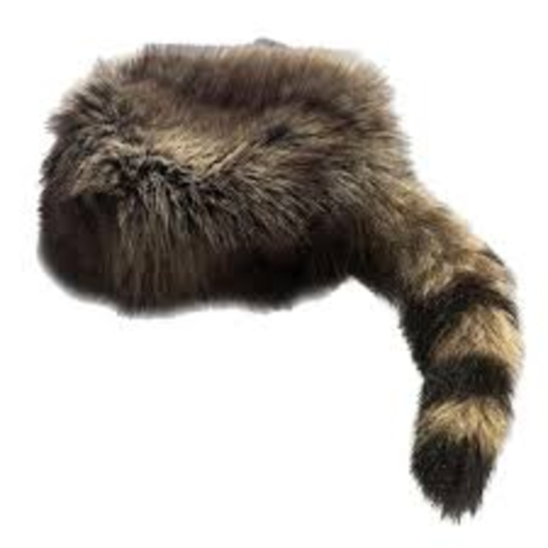 Replica Furry Raccoon Skin Cap with Tail