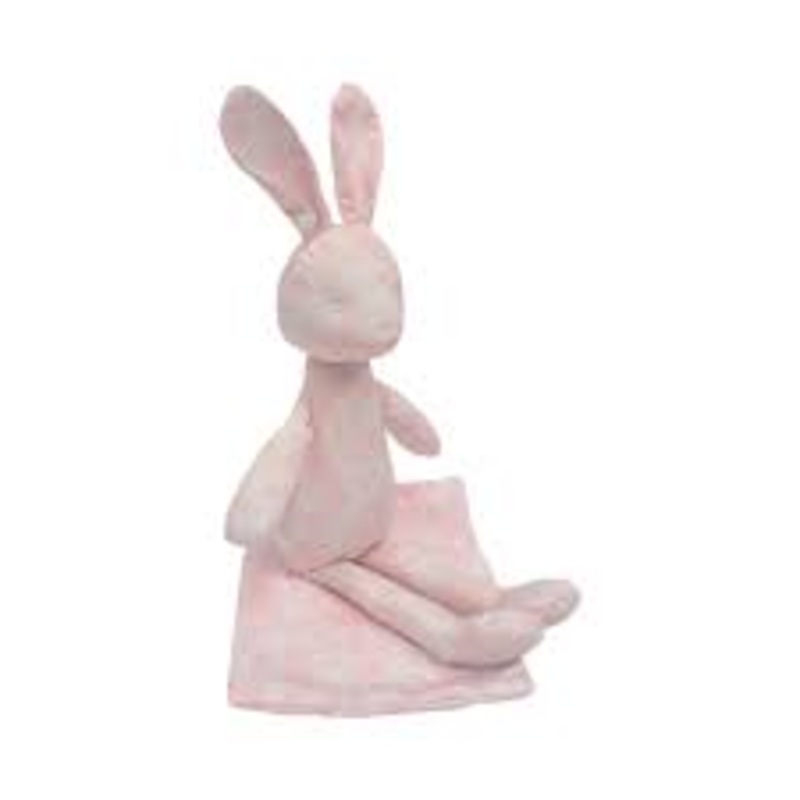Bun Bun Toile Bunny