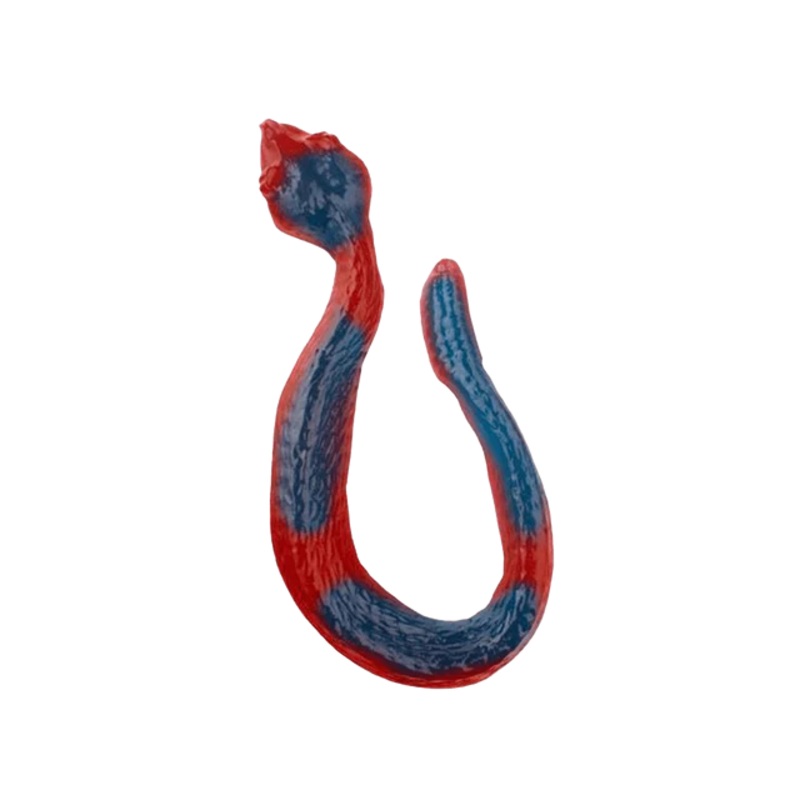 Giant Gummy Snake - Cherry & Blue Raspberry