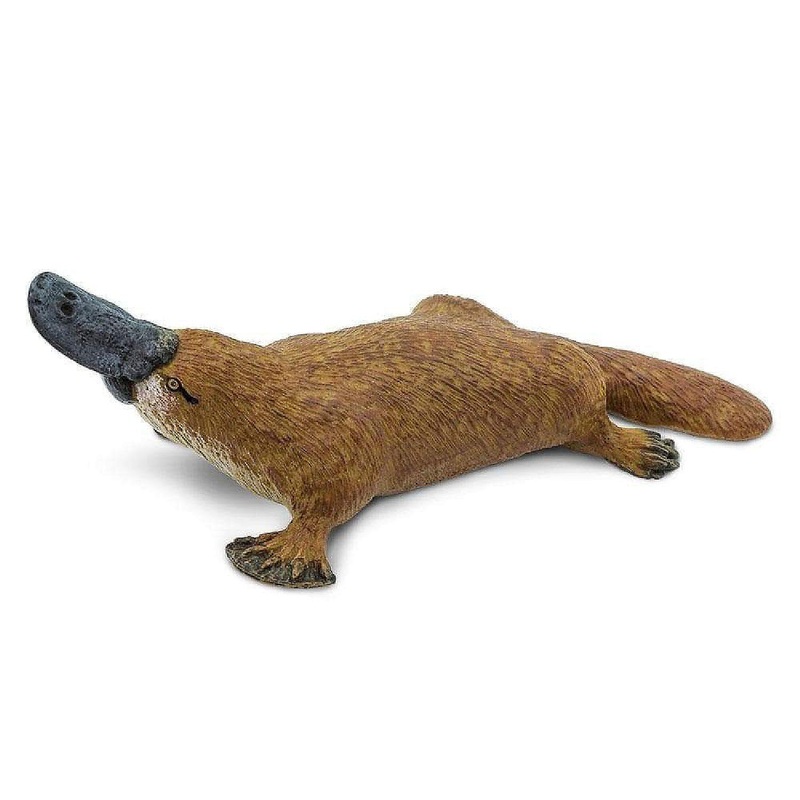 Wooden Platypus Toy