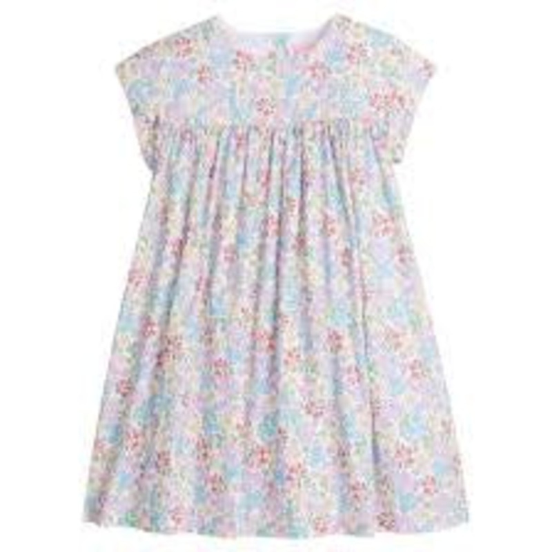 Bisby Bloomsburg Blossoms Charlotte Dress