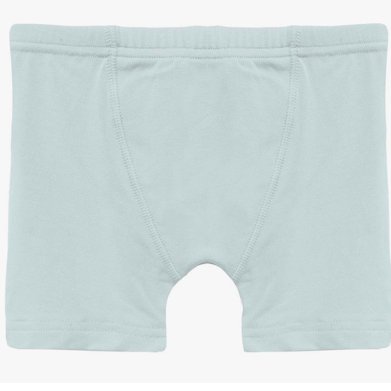 Kickee Boys Boxer Briefs - Fresh Air
