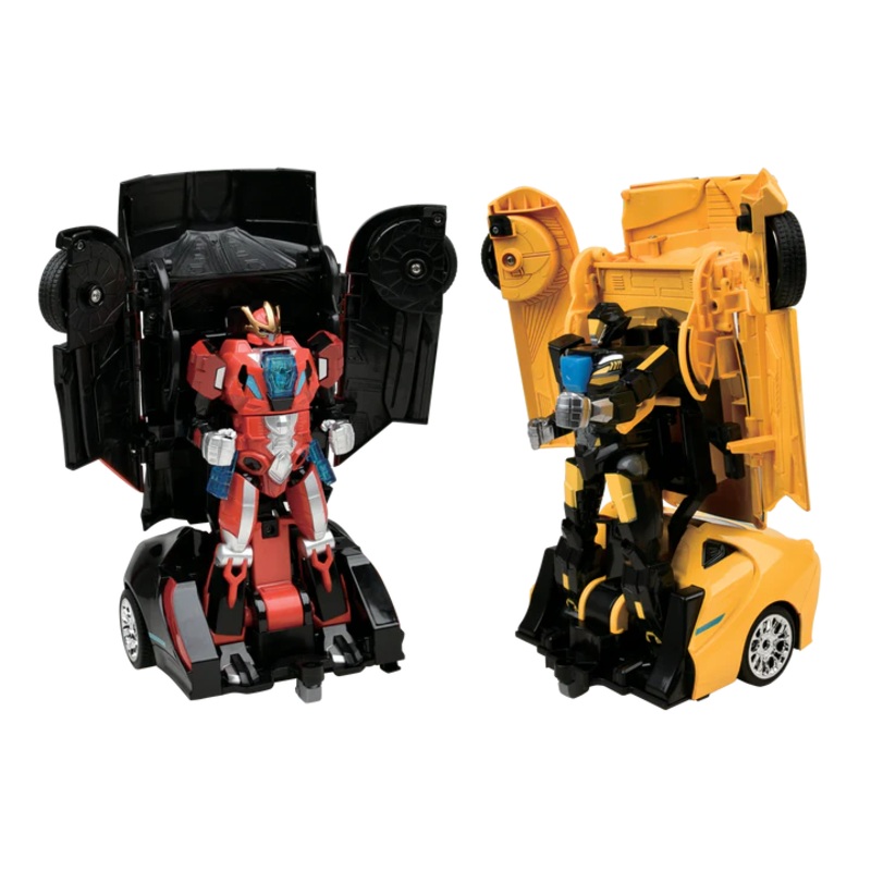 Auto Moto - Battle Bots