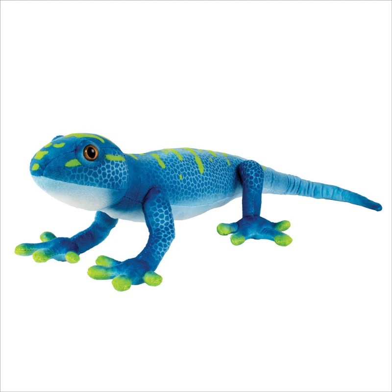 Real Planet Gecko 24" Blue