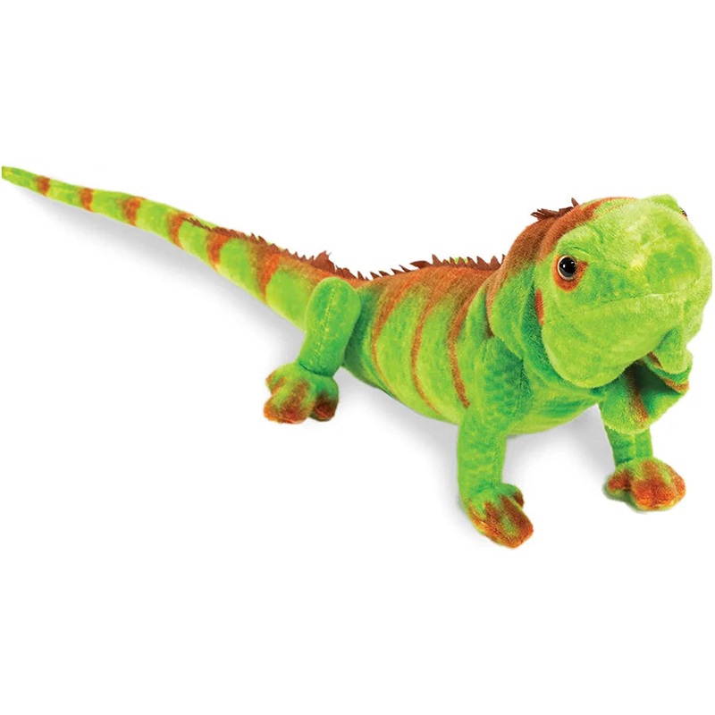 Real Planet Iguana Green 30"