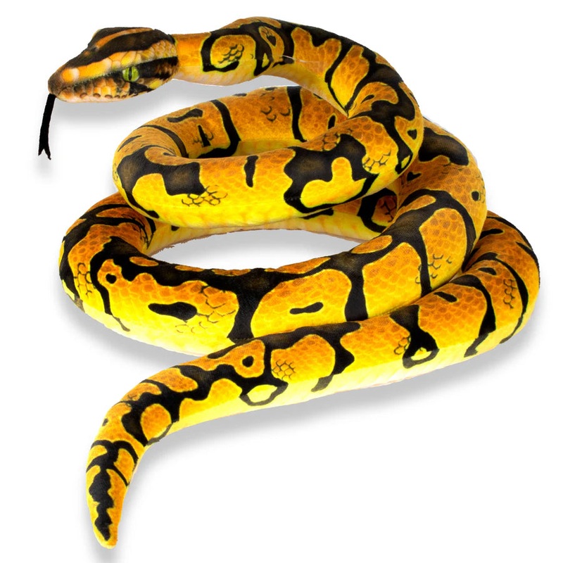 Real Planet Python 78.7